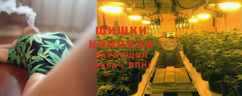 Бошки Шишки SATIVA & INDICA  продажа наркотиков  Верещагино 